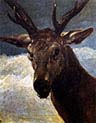 Head of a Stag